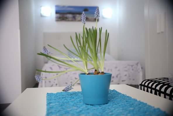 You & Me House Holiday home Ceglie Messapica